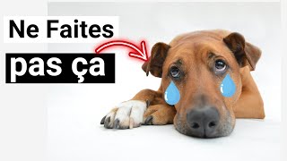 10 choses que les chiens détestent chez les humains by HistoireDesAnimaux 884 views 11 days ago 3 minutes, 20 seconds