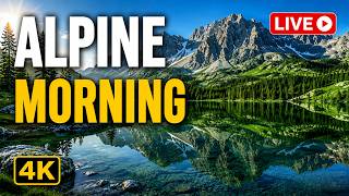 🔴 LIVE 🏔️ Alpine Lake Morning 4K 🌲 Mountain Nature Ambience | OLED Living Wallpaper screenshot 5