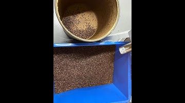 Q32 MINI coffee bean color sorter machine