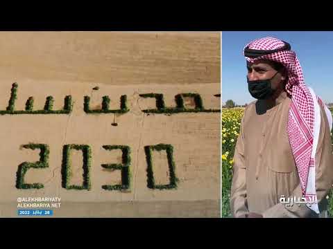 صالح الفريح مواطن يكتب اسم ولي العهد بنبات الأقحوان والديدحان