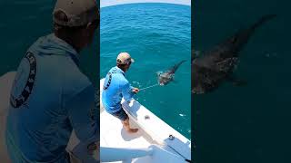 The TAX MAN Came Early!😱Orca &amp; Mako Shark Attack on The Reel Deal #thereeldeal #fishing #automobile