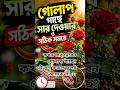🌹 গোলাপ গাছে সঠিক সময়ে সার দিন, ফুলে ভরে যাবে গাছ! 🌸✨#GolapGach #RoseCare #GardenTips #ViralShorts
