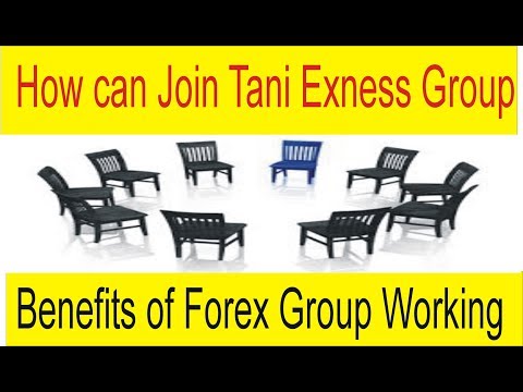 how-can-join-tani-forex-exness-group-|-benefits-of-group-trading-tani-forex-tutorial-in-urdu-hindi