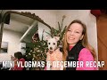 Mini December Vlogmas! +Anthropologie Primrose Mirror &amp; Decorating the Christmas Tree!