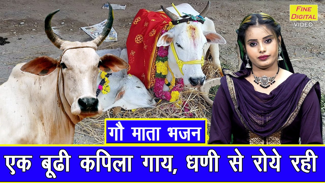 गौ माता भजन | एक बुढ़ी कपिला गाय, घणी से रोए रही | Ek Budhi Kapila Gaye | Gau Mata Bhajan 2025
