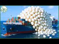 How 8 Million Tons of Duck Eggs Are Distributed Worldwide Every Year | AGROFORESTRY TECH