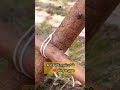 شاب يتبرع بكليته لأمه بدون علم الأم شاب يتبرع بكليته لأمه بدون علم الأم