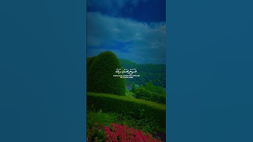 اكتب شيء تؤجر عليه ❤️ #quran #اكسبلور #تلاوة_خاشعة #nature #قرآن #beautiful #قران_كريم #راحة_نفسية