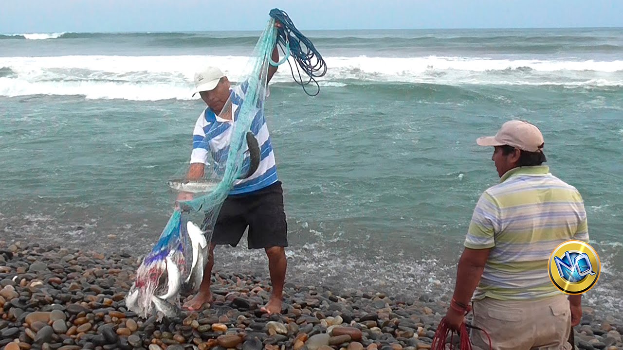 PESCA de Grandes LISAS con ATARRAYA en 