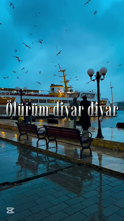 NAHIDE BABAŞLI - ANLASANA #music #lyrics #anlasana #song #fyp