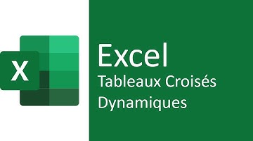 Comment faire un TABLEAU CROISE DYNAMIQUE avec une pyramide des ages dans Excel - Gestion Employés 4
