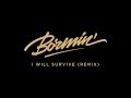 Bormin  i will survive remix