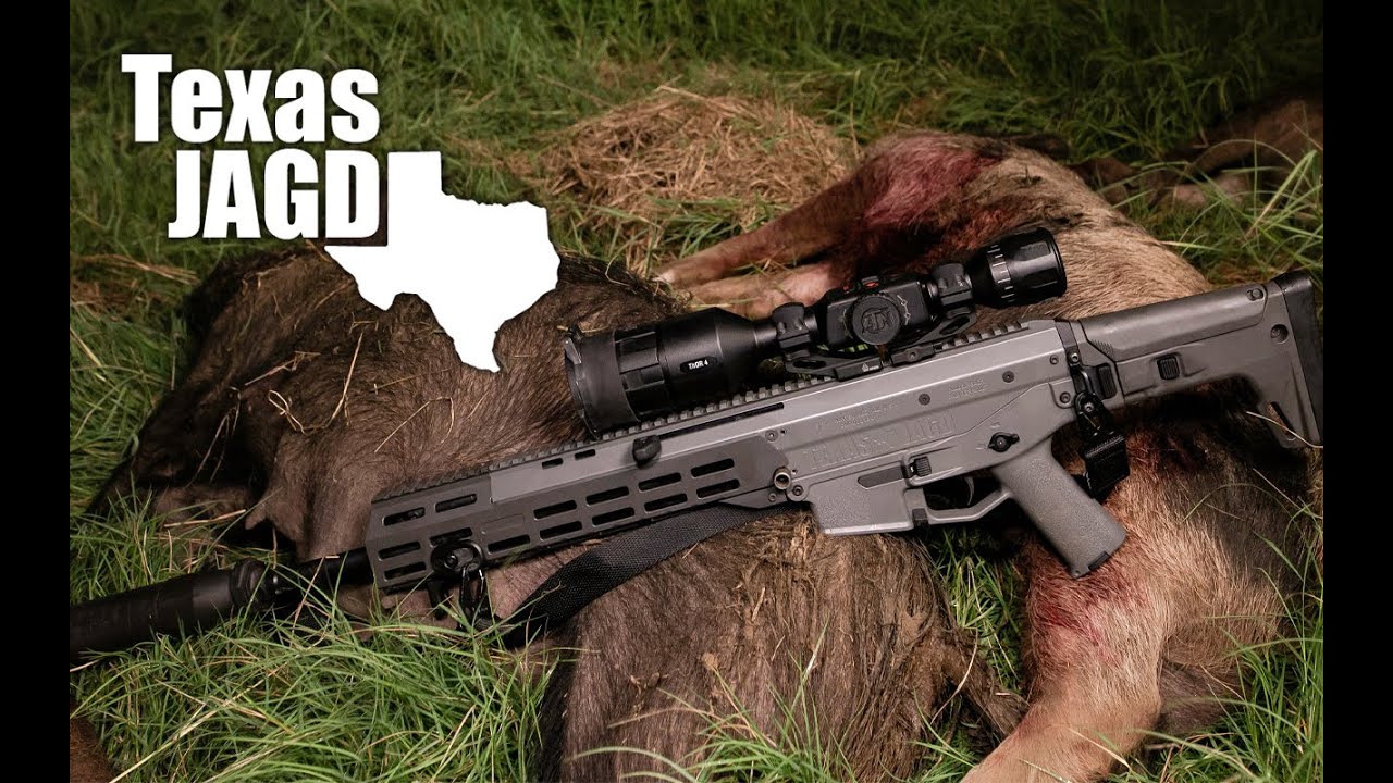7 Hogs and the Rattlesnake Farm - Texas Thermal Hog Hunting - YouTube