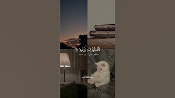 { فما ظنكم برب العالمين } القارئ ريان المحيسني 🥺🌱 #سورة_الصافات #قرآن