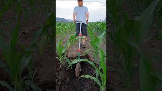 Rural Farmer #5682
