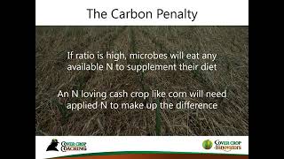 [Podcast] Understanding Carbon-to-Nitrogen Ratios & Cover Crops