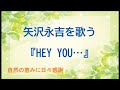 『HEY YOU...』/矢沢永吉を歌う_073 by 自然の恵みに日々感謝