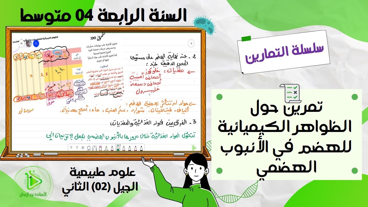 تمرين حول الظواهر الكيميائية للهضم في الأنبوب الهضمي علوم طبيعية سنة 04 متوسط