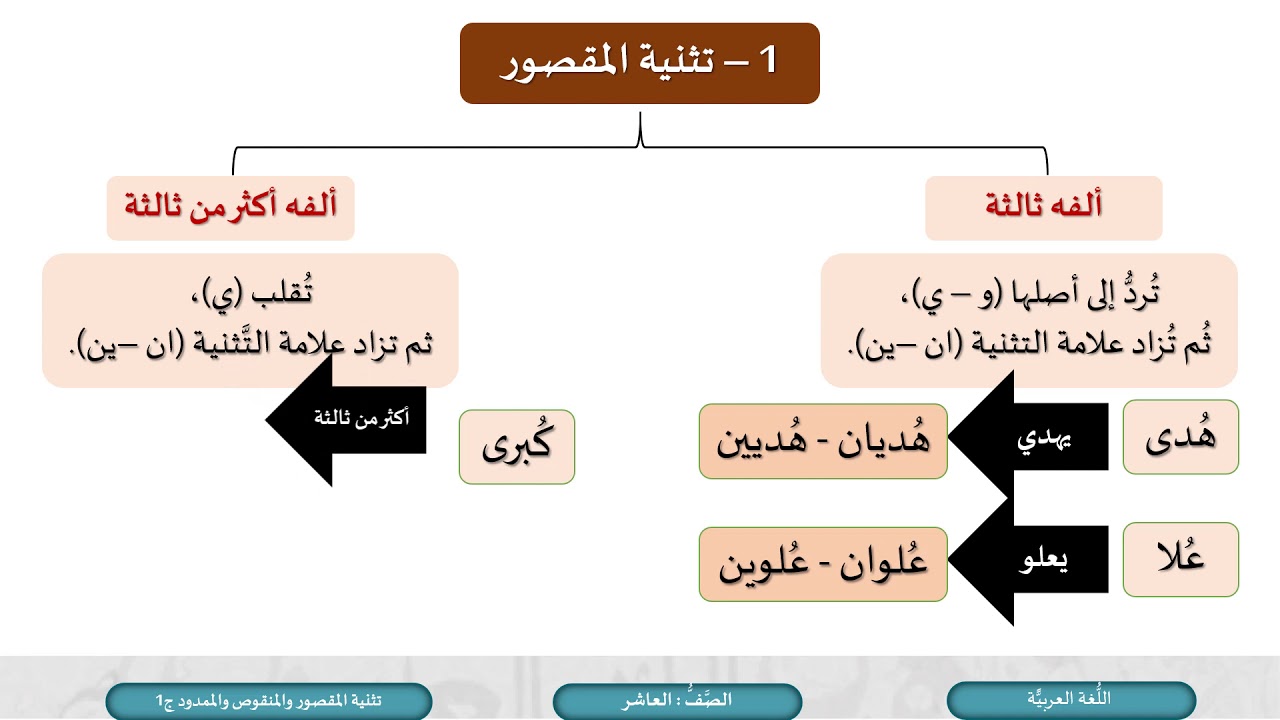 الصف العاشر   اللغة العربية   تثنية المقصور والمنقوص والممدود ج1