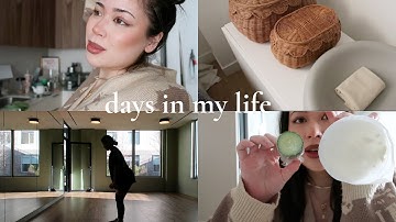 productive vlog!: back to school, trader joe