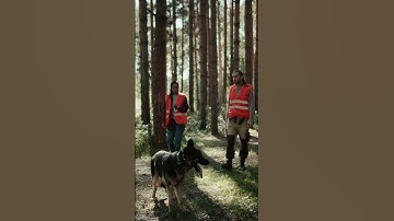 How NVIDIA Lowers Cloud Costs for Real-Time AI