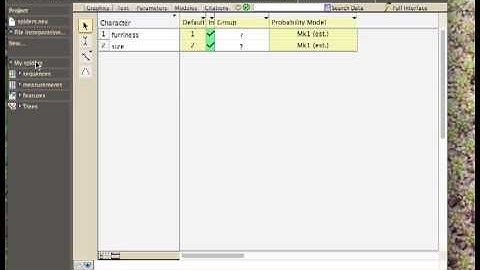 03 Mesquite Basics: Important windows