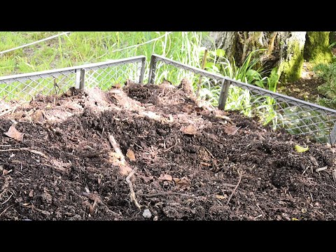 Video: Gartenabfälle als Kompost: Kann ich Grünabfälle kompostieren?