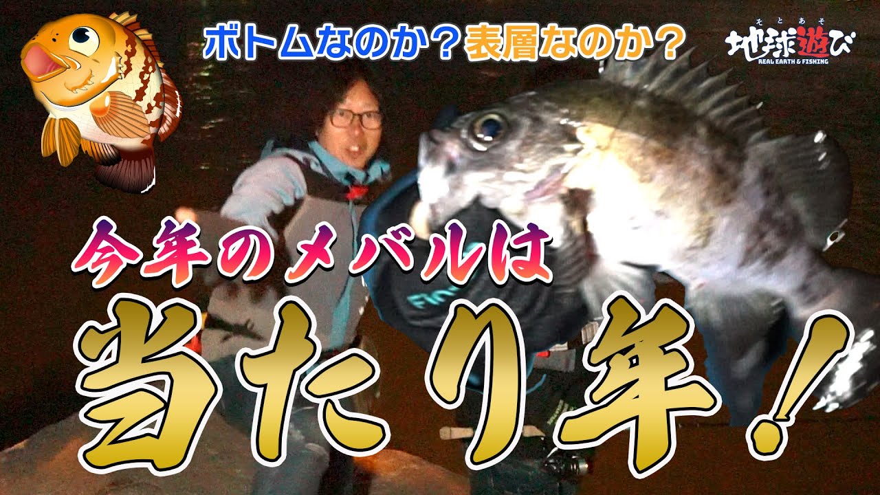 【メバル当たり年】今年は大型化！これからガンガン釣ります！【地球遊び320】