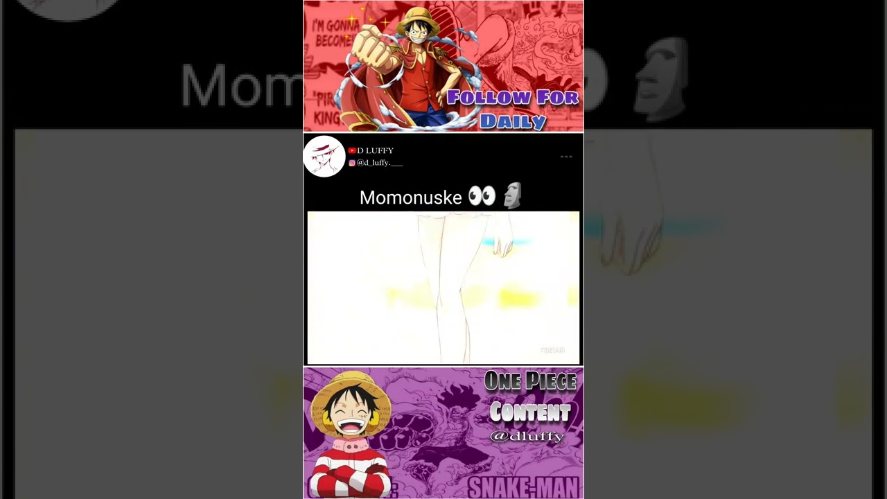 Sanji,Brook,Kinnemon Jealous of Momonuske 👀🗿😂 