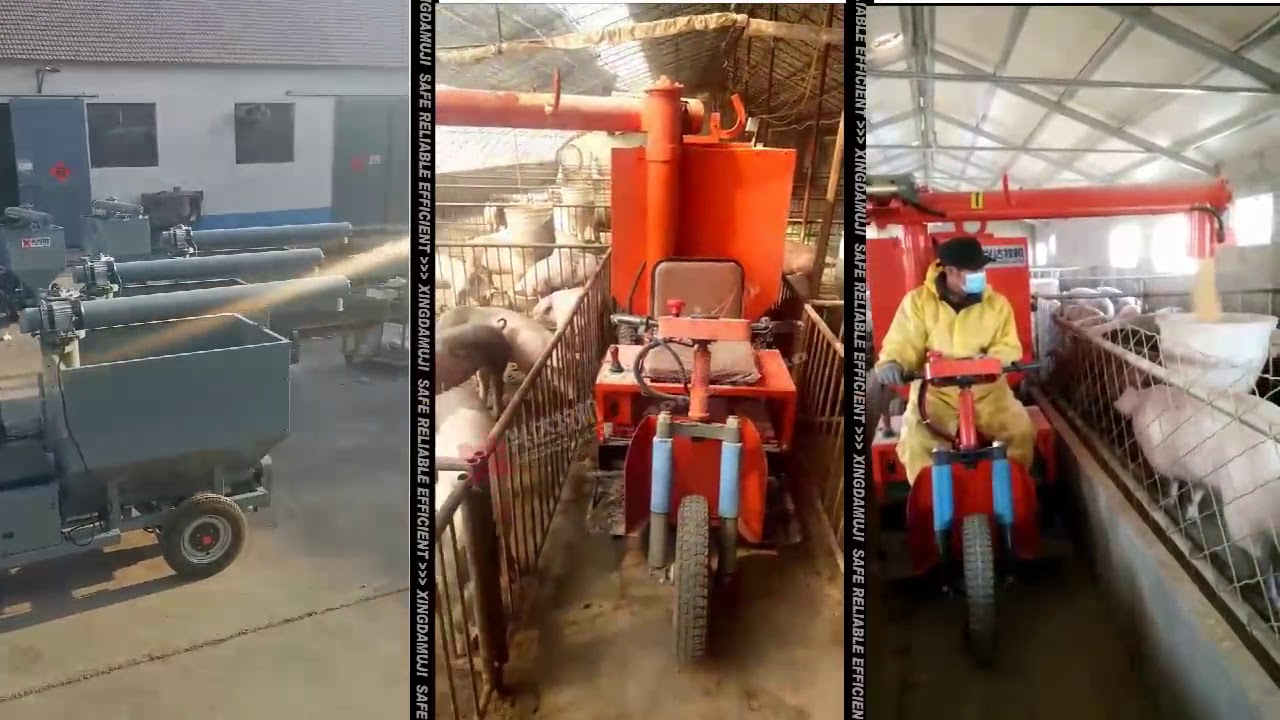 used pig farm equipment contented pig equipment YouTube