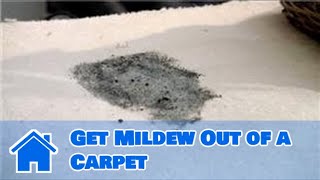 Carpet Cleaning : How to Get Mildew Out of a Carpet