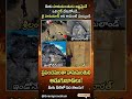ప్రపంచమంతా హనుమంతుని అడుగుజాడలు!"(Hanuman's footprints are all over the world!) | Telugu #telugu#og