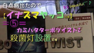 【イナズマヤッコ水槽】⑤殺菌灯設置します。カミハタターボツイストZ　白点病出たので。