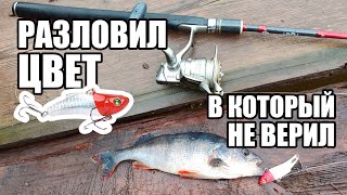 видео: ВИБ снова делает результат. Обожаю эту приманку. Щука капризничает. Спиннинг в Нижегородской области картинка: ВИБ снова делает результат. Обожаю эту приманку. Щука капризничает. Спиннинг в Нижегородской области