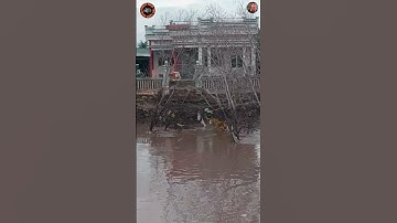 Lở nguyên bụi đước xuống sông