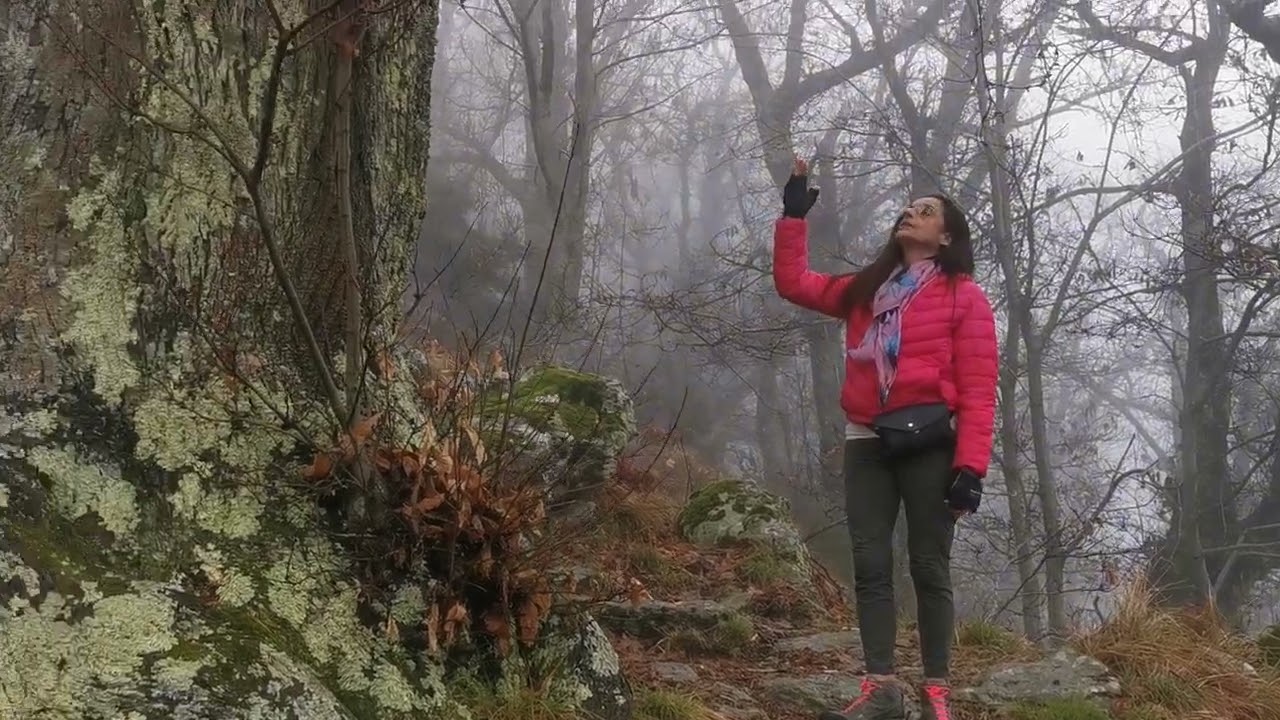 CASE DEL VERGHETO - VALLE DEL FRIGIDO
