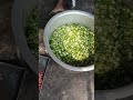 mix veg ki sabji  fry