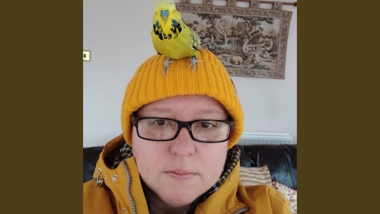 Watch How Can I? on YouTube Watch How Can I? on YouTube