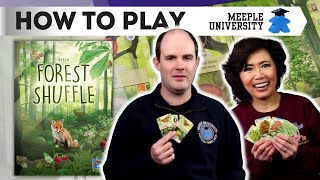 Forest Shuffle? - How to Play - With Tips!