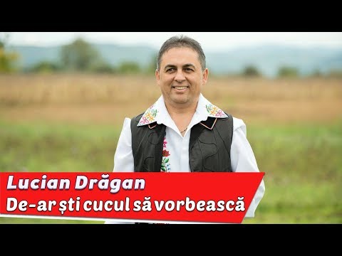 Video: Ce este o companie de consultanță? Rolul și sarcinile sale în afaceri