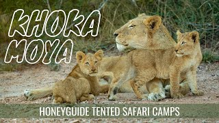 Honeyguide Tented Safari Camps  Khoka Moya Camp | Manyeleti Game Reserve