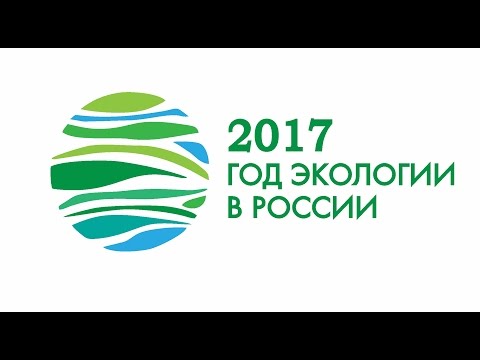 2017 Год экологии в России Упаковка 40ТВ