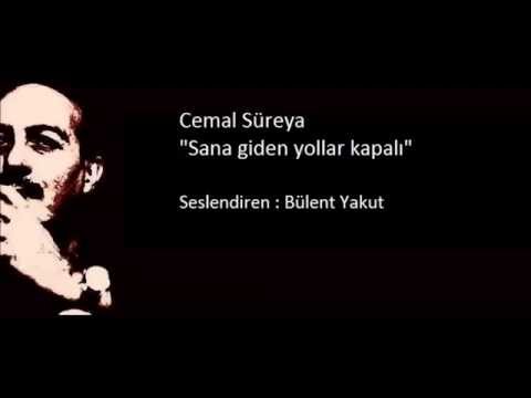 Cemal Süreya - Sana Giden Yollar Kapalı