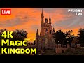 4k live a beautiful saturday evening in 4k at magic kingdom  walt disney world live stream