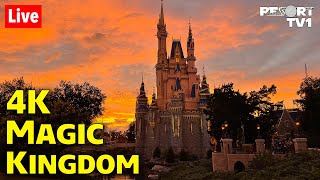 🔴4K Live: A Beautiful Saturday Evening in 4K at Magic Kingdom - Walt Disney World Live Stream