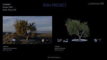 Look Dev asset Test - Clarisse iFx