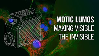 Motic Lumos Fluorescence LED illuminator - Making visible the invisible | by Motic Europe