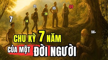 Chu kỳ 7 năm đời người – Hành trình trưởng thành và tỉnh thức | TINH HOA CỔ