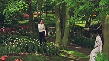 Prem Rog (1982) Hindi Movie Song #shorts #shortsvideo #shortvideo #songstatus