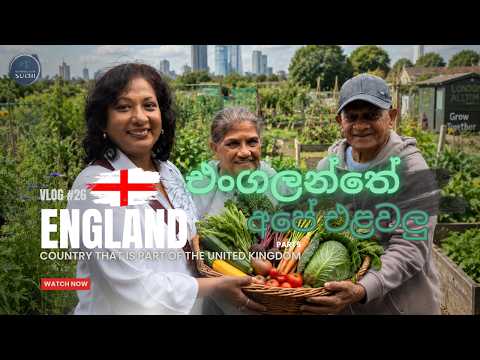 London වල අපේකම | Tour of  England | Vlog 26 - Part 5